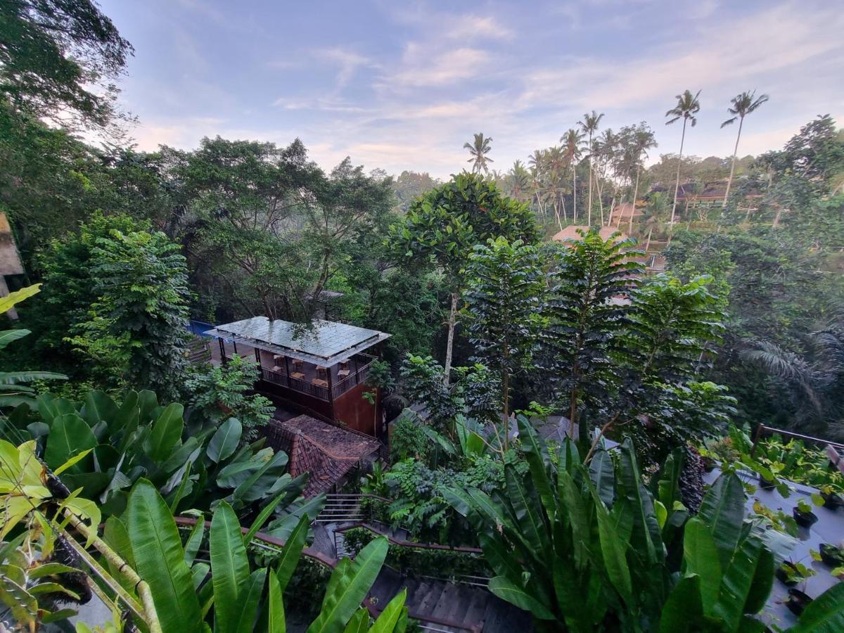 The Sebali Resort Ubud Zewnętrze zdjęcie View of the resort