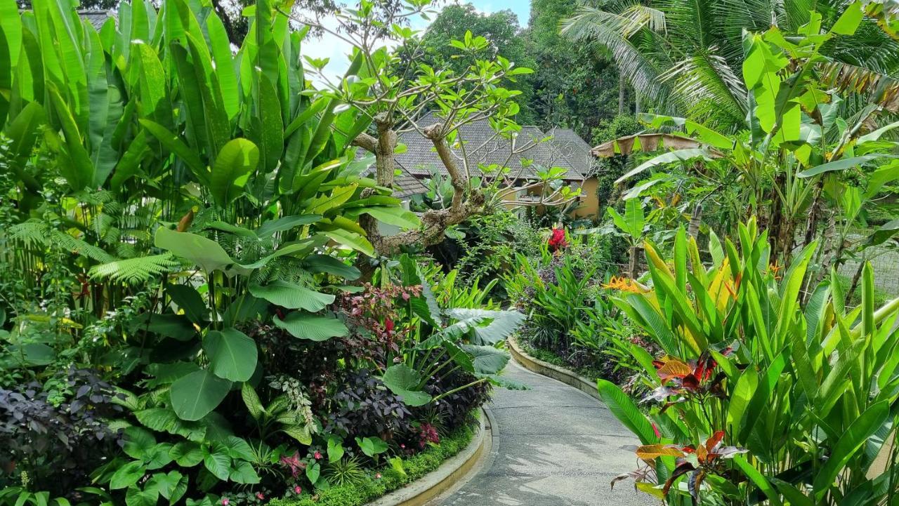 The Sebali Resort Ubud Zewnętrze zdjęcie A path in the park