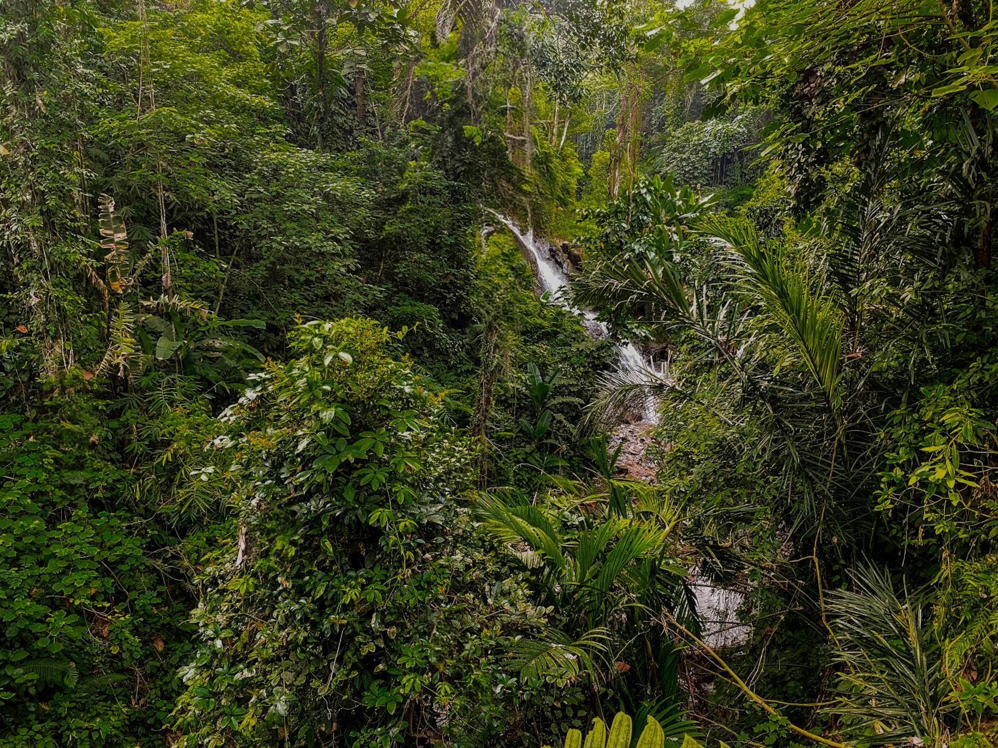 The Sebali Resort Ubud Zewnętrze zdjęcie A waterfall in the park